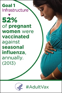 Goal 1 infrastructure - 52% of pregnant women were vaccinated against seasonal influenza, annually (2013).