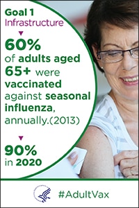  Goal 1 infrastructure - 60% of adults aged  65+ were vaccinated against seasonal influenza, annually (2013). 90% in 2020.