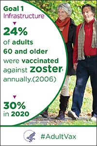 Goal 1 infrastructure - 24% of adults 60 and older were vaccinated against zoster, annually (2006). 30% in 2020.