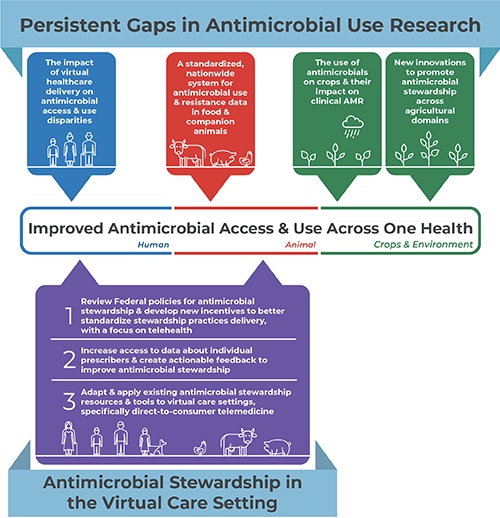 Infographic for P A C C A R B Report “Bridging the Gap: Improving Antimicrobial Access and Use Across One Health.”