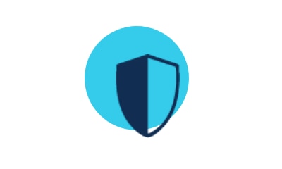 Shield Icon