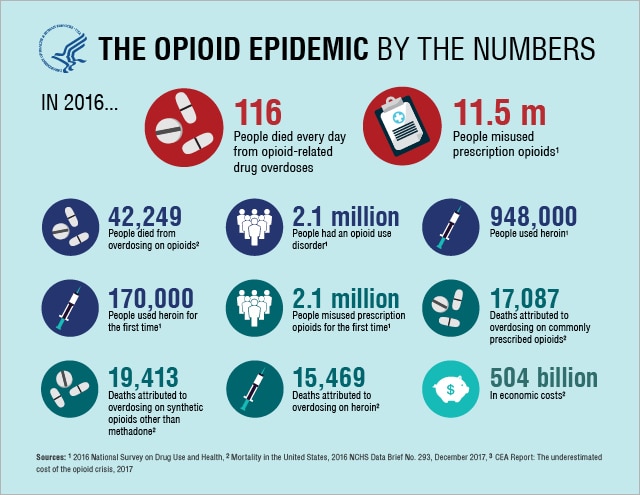 Opioids Information Graphic, link to accessible version follows