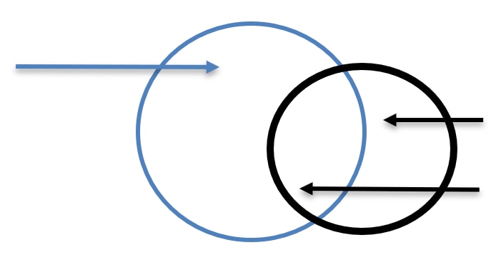 Figure 1. Individuals Exposed to Research Risk