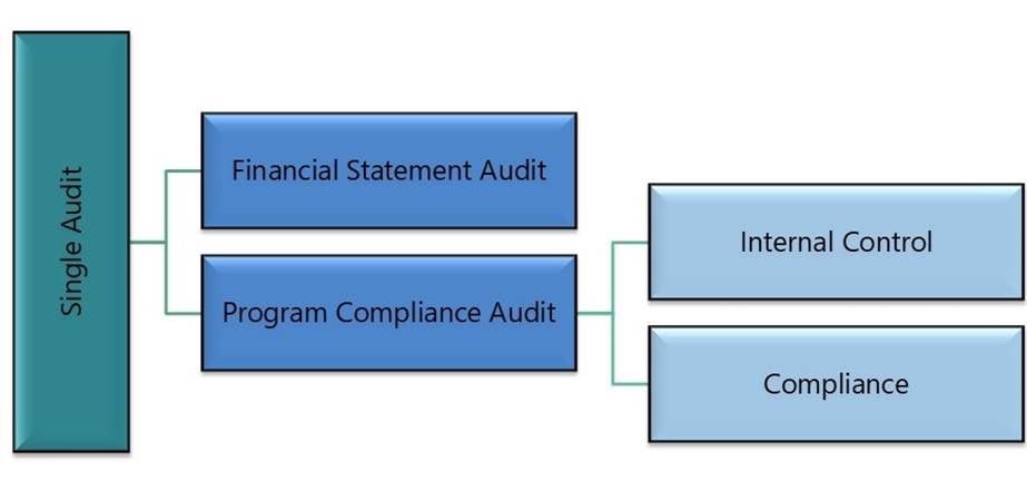 Figure 1: Single Audit Components