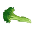 broccoli graphic