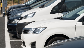 Cars lined up in the parking lot