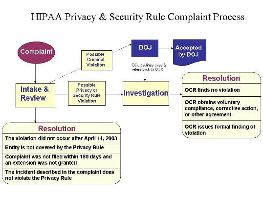 Hipaa Covered Entity Chart