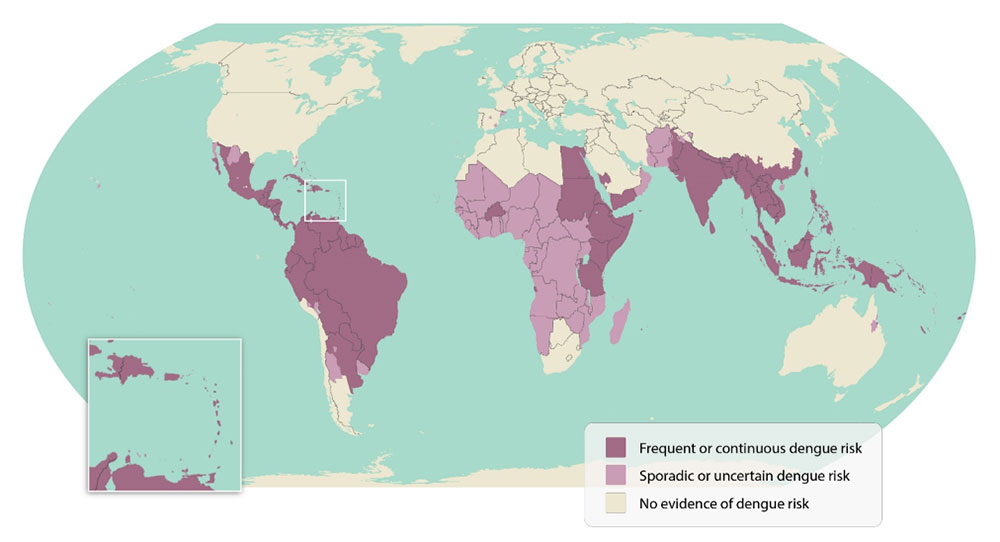 Map of areas with dengue risk, including frequent or continuous risk, sporadic or uncertain risk, and no evidence of dengue risk.