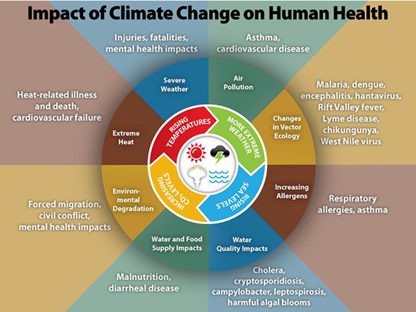Impact of Climate Change on Human Health Infographic