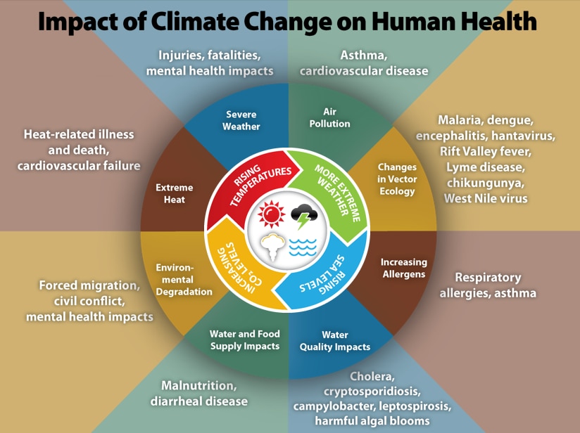 Climate change impacts a wide range of health outcomes. This slide illustrates the most significant climate change impacts, their effect on exposures, and the subsequent health outcomes that can result from these changes in exposures. See paragraph below for full details.