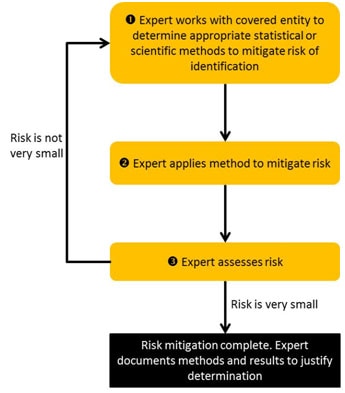 Image shows a general workflow for expert determination, highlighting that information must meet the very small risk specification requirement.