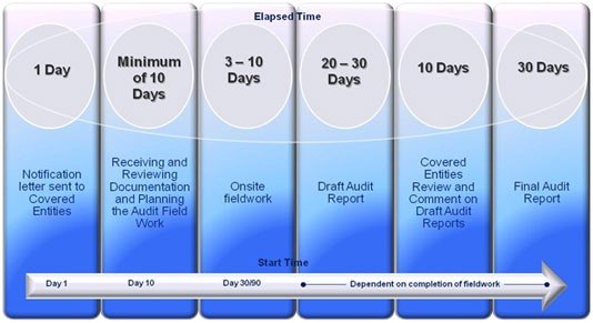 Infographic showing the timeline for an audit