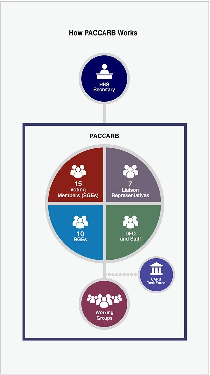 Carb Org Chart