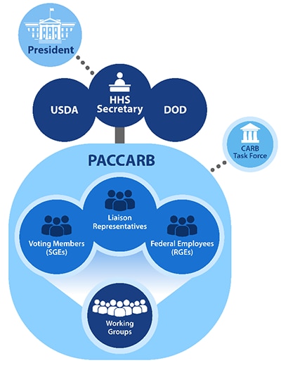 Infographic of the structure of the PACCARB and the flow of information from the PACCARB to the President.