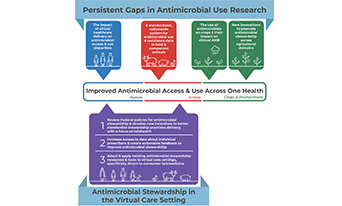 Infographic for P A C C A R B Report “Bridging the Gap: Improving Antimicrobial Access and Use Across One Health.”