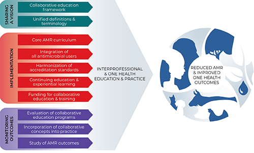 Infographic for P A C C A R B Report “Advancing Interprofessional Education and Practice to Combat Antimicrobial Resistance”