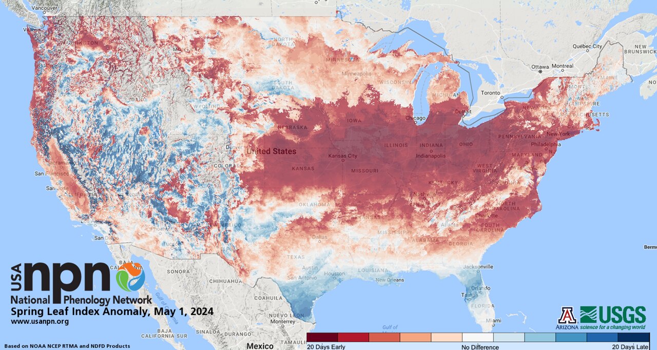 Ragweed Map U S What To Expect This Allergy Season Across The U S Ragweed Map U S What To Expect This Allergy Season Across The U S