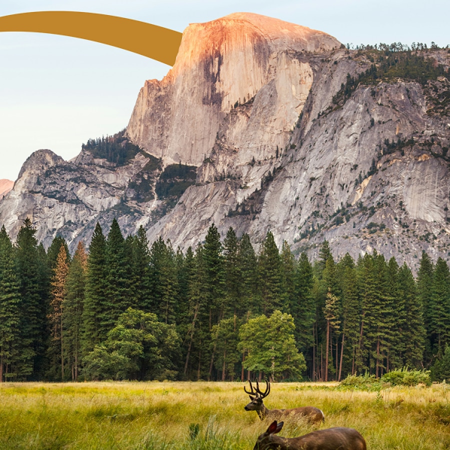 Image for Visit National Parks