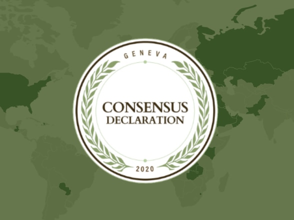 Image for Protecting Women and Children