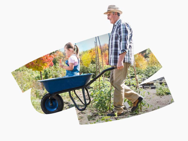 Image for Campaign Ads