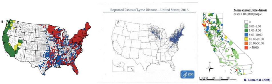 Maps showing the distribution of Lyme disease vectors in the U.S.