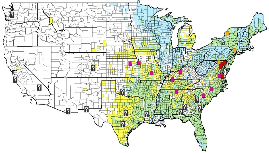 A map of the United States that shows the distribution of blacklegged ticks, lone star ticks, and both species.