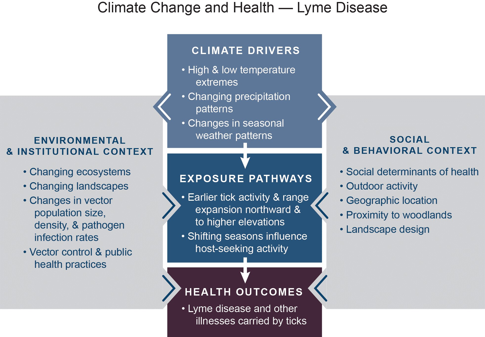 An infographic showing the impact of climate change on Lyme and other illnesses carried by ticks 