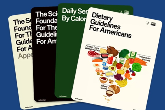 Four USDA dietary guideline booklets, one showing a food pyramid illustration.