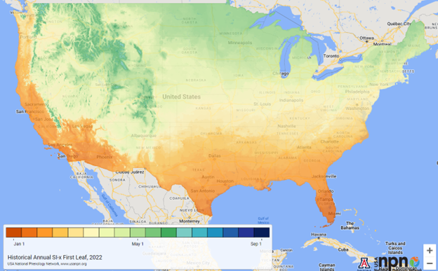 This map from the USA National Phenology Network (USA-NPN) shows when springtime activity in plants typically began over the last 30 years