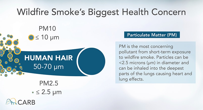 Graphic showing particulate matter smaller than a human hair, which is the most concerning pollutant from short-term exposure to wildfire smoke