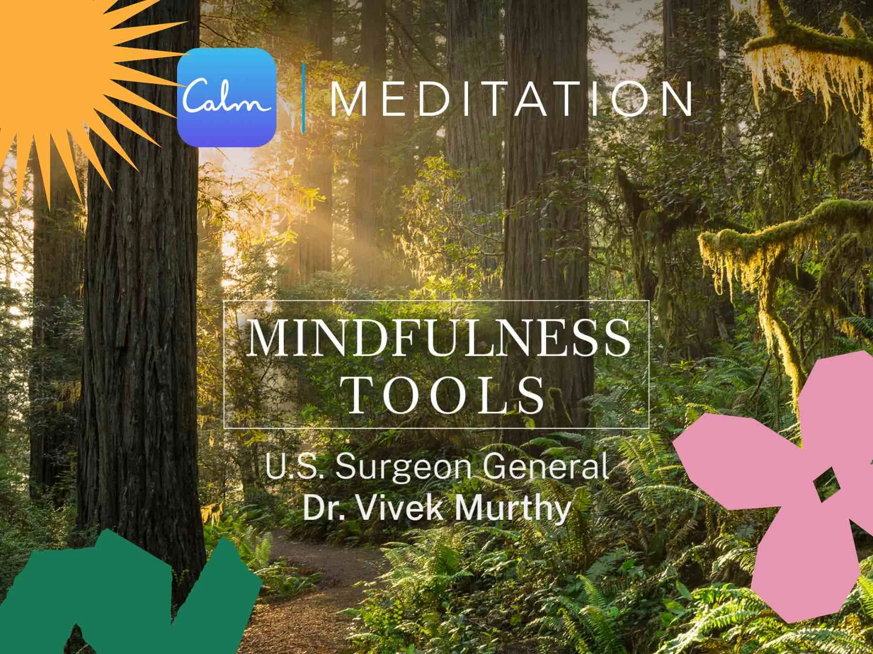 Calm Meditation, mindfulness tools with U.S. Surgeon General Dr. Vivek Murthy. A peaceful forest in the background