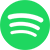 Spotify Podcasts Icon