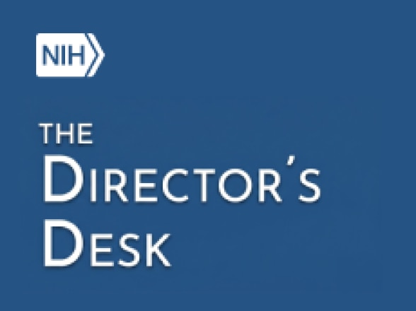 Image for The Director’s Desk